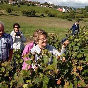 Meet your Posher, Diane